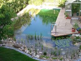 20 Modern Natural Swimming Pools That Will Delight You Trendhmdcr Natural Swimming Pools Natural Swimming Ponds Ponds Backyard