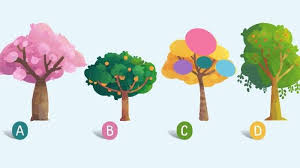 Pernahkah kamu diminta menggambar rumah, pohon dan manusia dalam sebuah tes psikologi untuk mendapatkan pekerjaan? Tes Kepribadian Pilih Gambar Pohon Untuk Ungkap Sifat Aslimu