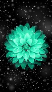 1920x1080 dark wallpapers hd 1920x1080 phone. Beautiful Phone Wallpapers Top Free Beautiful Phone Backgrounds Wallpaperaccess