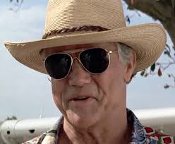 American Optical AN-6531 sunglasses