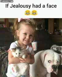 Kids Funny Memes In Www Fundoes Com To Make Laugh Funny Animal Memes Animal Memes Funny Animals