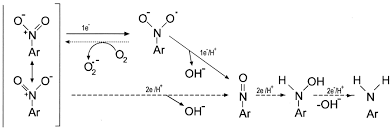 Biological Degradation of 2,4,6-Trinitrotoluene | Microbiology and  Molecular Biology Reviews