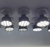 IP67 Dimmable 6.5W Smart LED Poultry Light Bulb for Poutry Farm