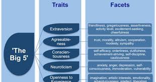 Personality Traits And Facets Personality Personality Traits Extraversion