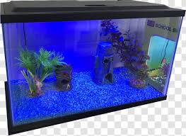 Aquarium Lighting Aquariums Gallon Electric Blue Fish Tank Transparent Png