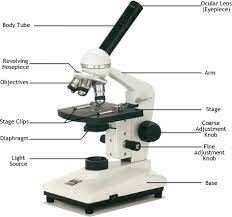Introduction to microscopes and how they work. Microscopy