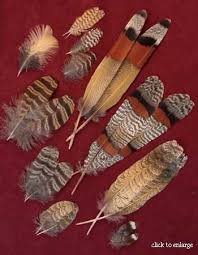Birds Of A Feather New Vegas Bug Sun Bittern Feathers For Tying Full Dressed Salmon Flies Feather Crafts Feather Art Feather