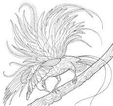 Feel free to print and color from the best 40+ bird of paradise coloring page at getcolorings.com. Birds Of Paradise Coloring Page Downloads Persnickety Press