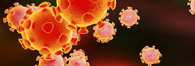 coronavirus-image-iStock-628925532-full-width-wide.jpg | Elsevier ...