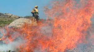 El que afectaba a la zona del casino fue el primero en quedar a esa hora el ayuntamiento de guadalajara informaba de que el incendio había bajado a nivel 0. Un Incendio Forestal Proximo A Guadalajara Capital Obliga A Desplegar A 100 Bomberos Y 7 Aeronaves