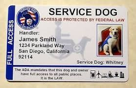 Pin On Dogs
