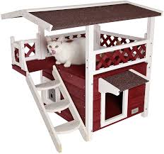 Even with the stray cat being approachable, you should still contact your local animal control or feline rescue organization for instructions on how to safely. How To Stop Stray Cats From Peeing On My Porch