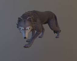 Reference sheet of sophia the white (arctic) wolf. Wolf Animated 3d Asset Cgtrader