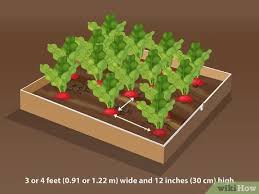 Keep your fundraising events simple to avoid spending more on them than you make! How To Plant Your First Garden With Pictures Wikihow