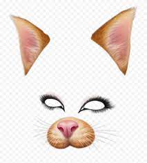 Snapchat Cat Face Filter Ears Eyes Nose Png Image Snapchat Filters Png Snapchat Filters Cat Face