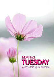 Pin By Ramchai Chuenbumrung On Hello Good Morning Flowers Good Morning Quotes