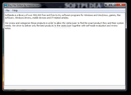 These are guidelines outlining what a wav file is. Download Big File Editor 0 1