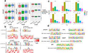 Predicting Transcription Factor Binding In Single Cells Through Deep Learning Biorxiv