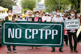 Factories there would send finished products to america, avoiding the tariff. Greenpeace No Cptpp Demonstration In Bangkok
