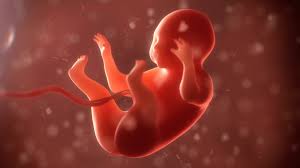 How do you know if your baby passed meconium in womb? Babies Pee In The Womb Babies Pee While In The Womb