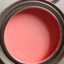 Paint color advice to coordinate with dark salmon accent wall color? 10 The Color Salmon Ideas Color Coral Paint Colors Coral