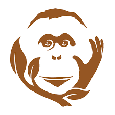 Image result for CARTON OF ORANGUTAN