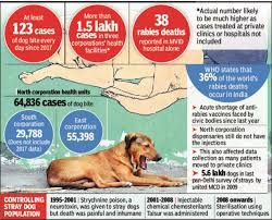 Maybe you would like to learn more about one of these? Delhi Sees 120 Cases Of Dog Bite Daily In Three Years But No Stray Count After 2009 Delhi News Times Of India