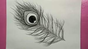 Pencil drawing peacock feather unknown yoppa1 flickr. How To Draw Peacock Feather Pencil Sketch Youtube