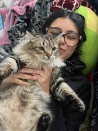 Fatty the cat has bladder and urethra issues