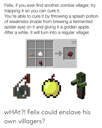 If a villager gets attacked by a zombie, they'll turn into a zombie villager, which means they'll try to attack you and you will not be able to trade with them. Felix If You Ever Find Another Zombie Villager Try Trapping It So You Can Cure It You Re Able To Cure It By Throwing A Splash Potion Of Weakness Made From Brewing A