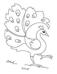 See more ideas about peacock peacock art peacock drawing. Simple Drawing Of Green Peacock Coloring Page Peacock Coloring Pages Peacock Drawing Simple Easy Drawings