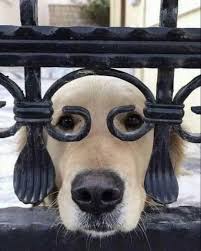 That Aussie Handmade Place