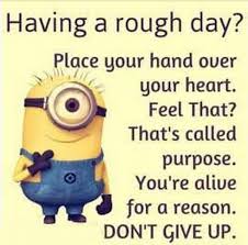 27 Funny Quotes Inspirational That Will Inspire You Minions Quotes 5 Funny Minion Quotes Minion Love Quotes Minions Quotes