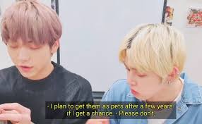During a recent live broadcast, soobin sat down with fans and spoke about everything from his pet hedgehog to his relationship with other idols. Txt Choi Soobin Soobin Wants To Have Racoons As His Pets Facebook