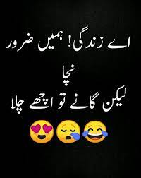 fun quotes funny cute funny quotes smile quotes funny