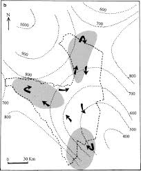 Image result for Oxygonum delagoense