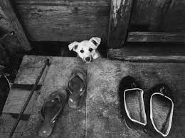 Soviet life in amazing PHOTOS taken by Anatoly Boldin - Russia Beyond