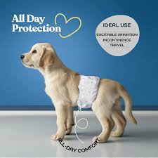 Premium Disposable Male Pet Diapers for Hospitals and Clinics - Wholesale Hospital Diaper and Disposable Male Diaper price | Made-in-China.com