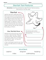 1st grade esl video lessons; 2nd Grade Grammar Worksheets Free Printables Education Com