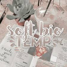 Aesthetic Bio Template Amino Copy And Paste Short Soft Bio Template Wiki Templates And Stuff Amino