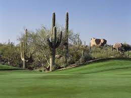 Contact our concierge to book tee times. Saguaro Cacti In A Golf Course Troon North Golf Club Scottsdale Maricopa County Arizona Usa Photographic Print Art Com