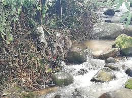 Oleh itu, sekirannya berdasarkan kepada terjemahan literal, maka perkataan alam sekitar adalah menuju kepada apa sahaja yang melingkungi manusia. Cerita Dari Lipis Isu Alam Sekitar Sungai Ichat