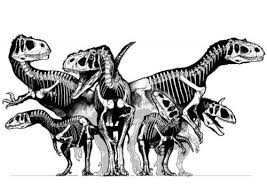 Coloring Page Group Of Dinosaurs Skulls Img 8297 Dinosaur Prehistoric Animals Prehistoric Creatures