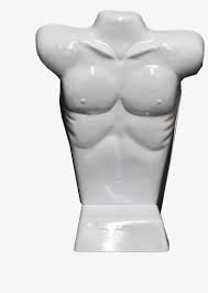 We did not find results for: Standing Male Mannequin Torso Bust Free Transparent Png Download Pngkey