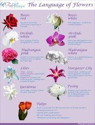 Pin By Visually Explained Ltd On Infographics By Visually Explained Flower Meanings Language Of Flowers Happy Flowers