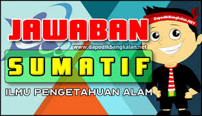 Bgai yang membutuhkan silahkan download. Jawaban Sumatif Modul 4 Ipa Dapodik Bangkalan