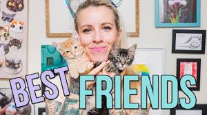 Get two males the same size for the same reason. Safely Introducing Kittens From Different Litters Youtube