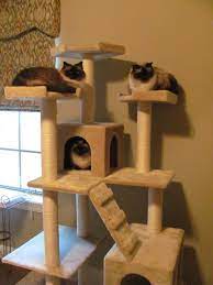 general cat tree house simple ideas recycling a ladder into a cat tree house kedi agaclari kedi kedi evi