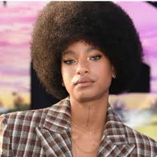 Will Smith's daughter Willow's $3.1m eco home is worlds away from family  house