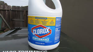 Check spelling or type a new query. Experiment Bleach Vs Mosquitos Who Will Win Youtube